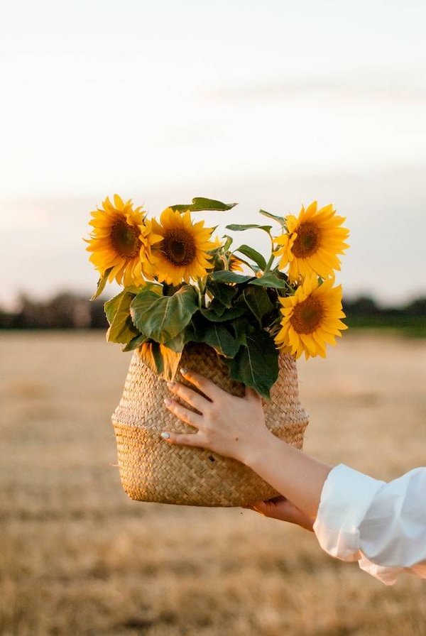 Comprendre les significations et les messages des fleurs pour un événement ou un cadeau