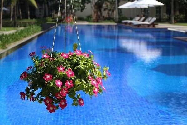 Quelles sont les plantes et les fleurs les plus adaptées pour décorer le bord d'une piscine ?